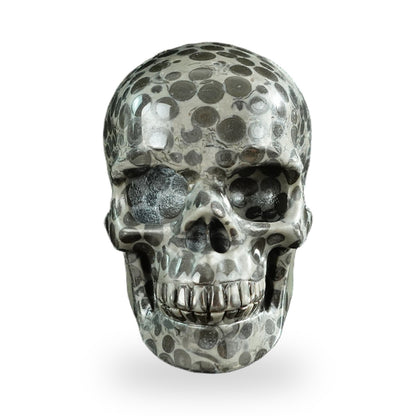 Black Leopard Skin Jasper crystal skull 3" SKH30BLS03 photo 1