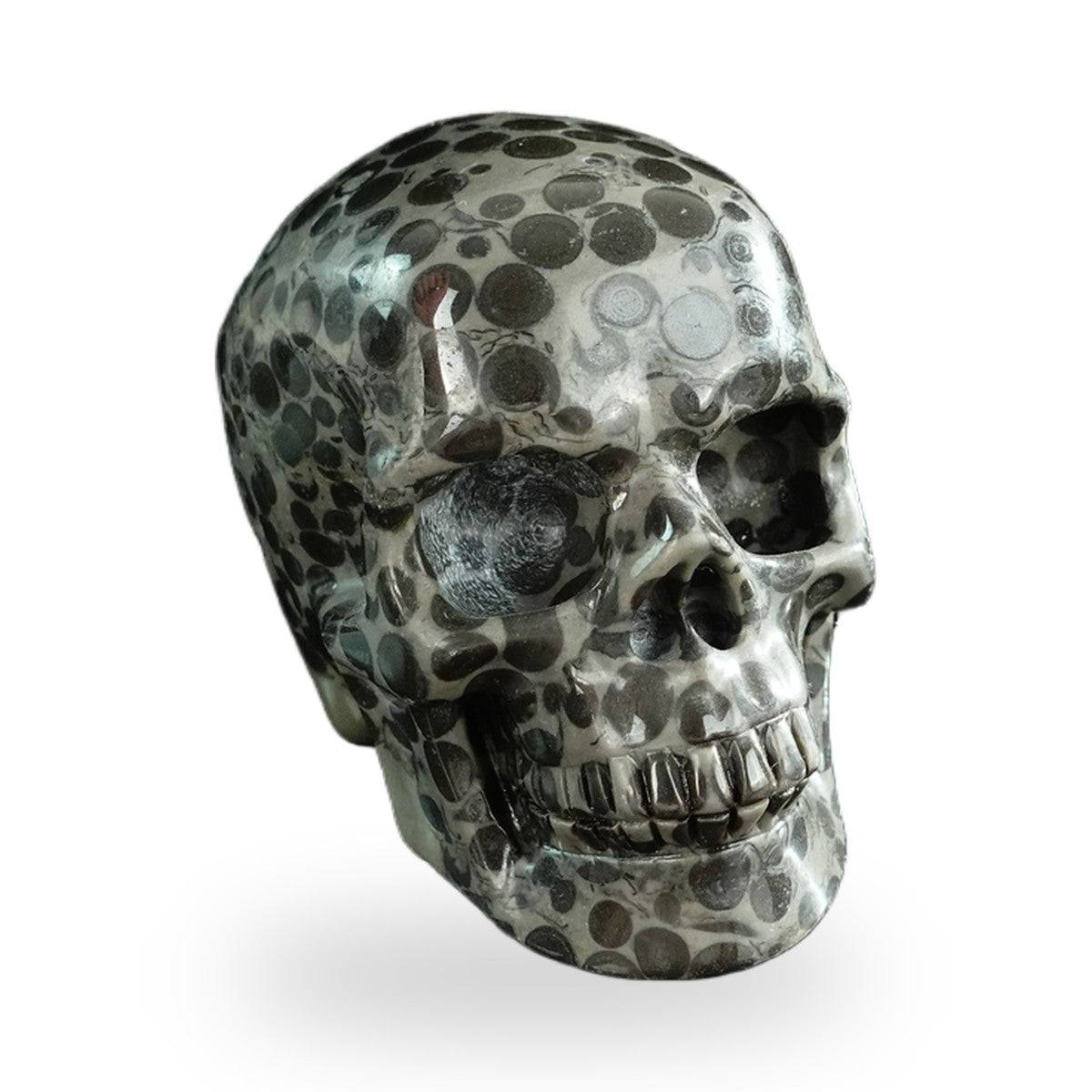 Black Leopard Skin Jasper crystal skull 3" SKH30BLS03 photo 2