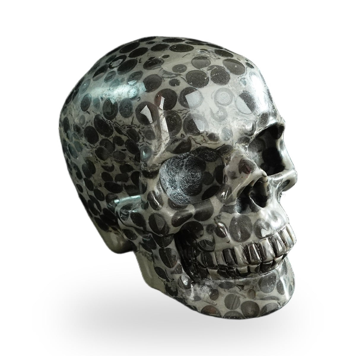 Black Leopard Skin Jasper crystal skull 3" SKH30BLS03 photo 3