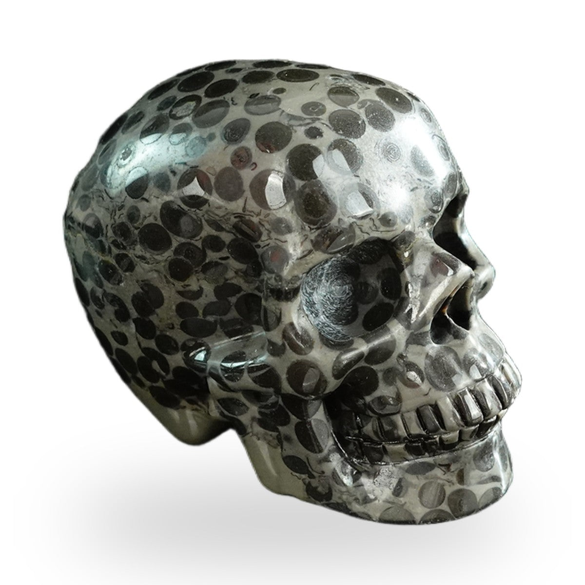 Black Leopard Skin Jasper crystal skull 3" SKH30BLS03 photo 4