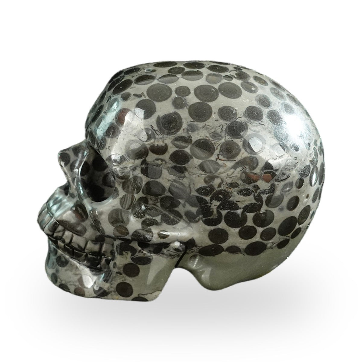 Black Leopard Skin Jasper crystal skull 3" SKH30BLS03 photo 6