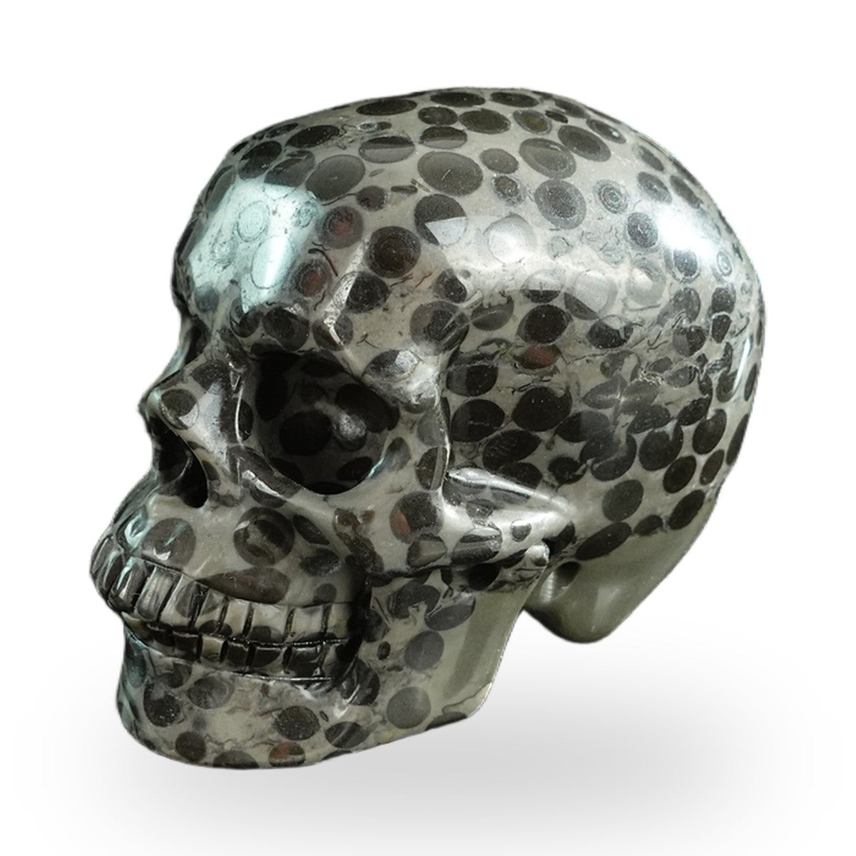 Black Leopard Skin Jasper crystal skull 3" SKH30BLS03 photo 7