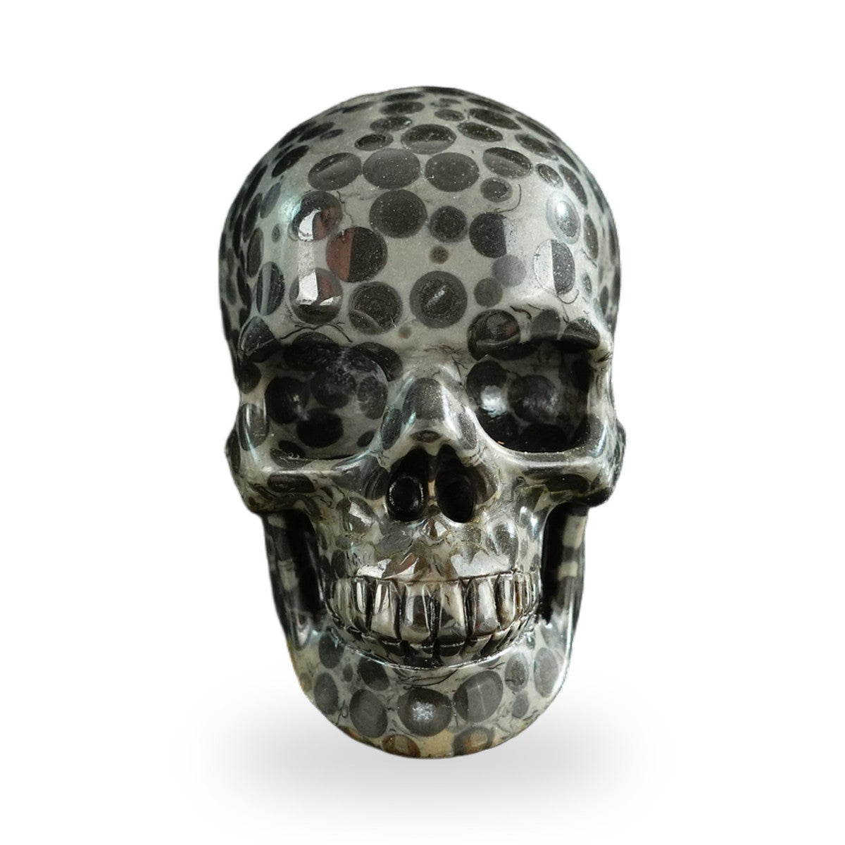 Black Leopard Skin Jasper crystal skull 3" SKH30BLS04 photo 1