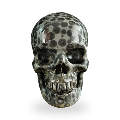 Black Leopard Skin Jasper crystal skull 3" SKH30BLS04 photo 1