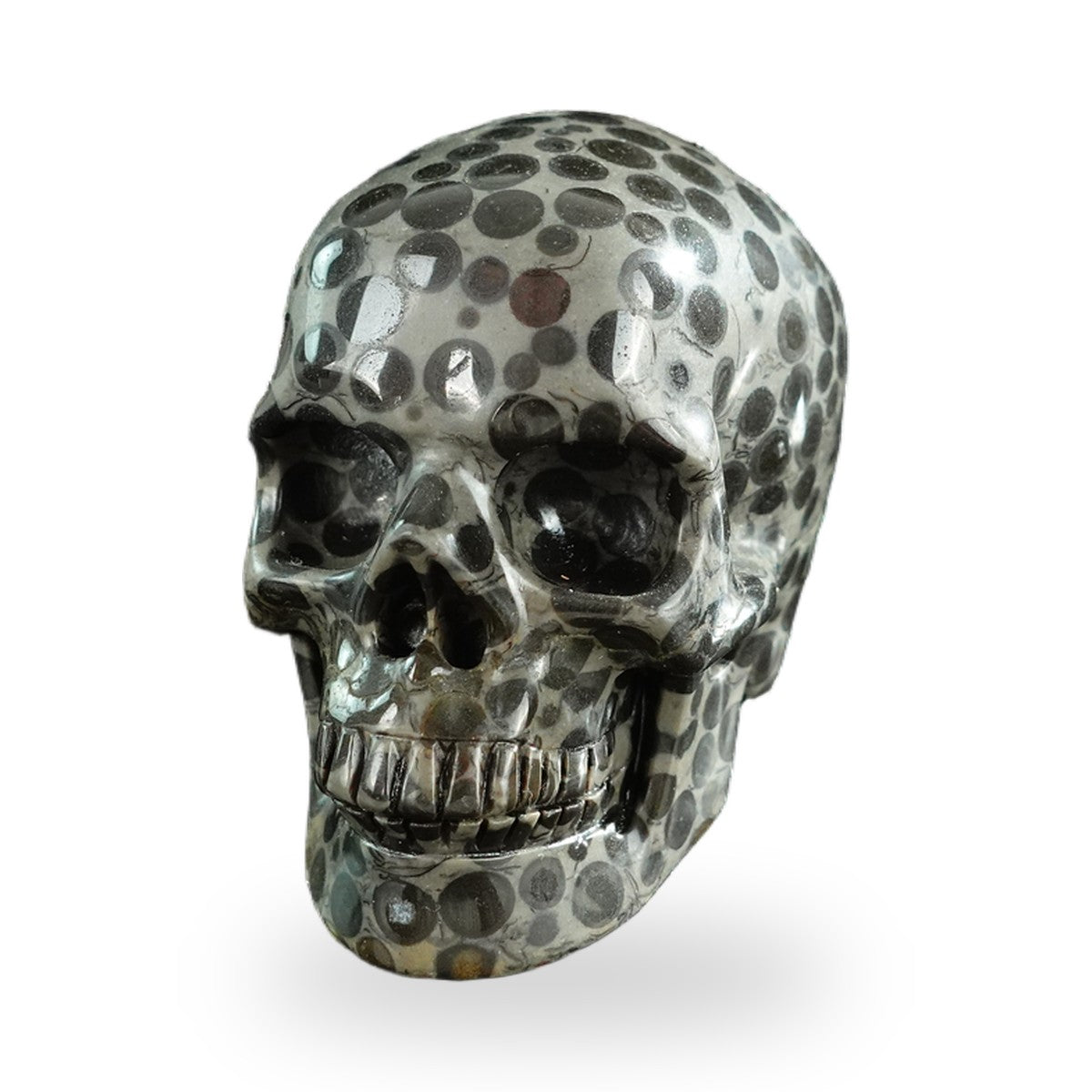 Black Leopard Skin Jasper crystal skull 3" SKH30BLS04 photo 2