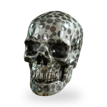 Black Leopard Skin Jasper crystal skull 3" SKH30BLS04 photo 2