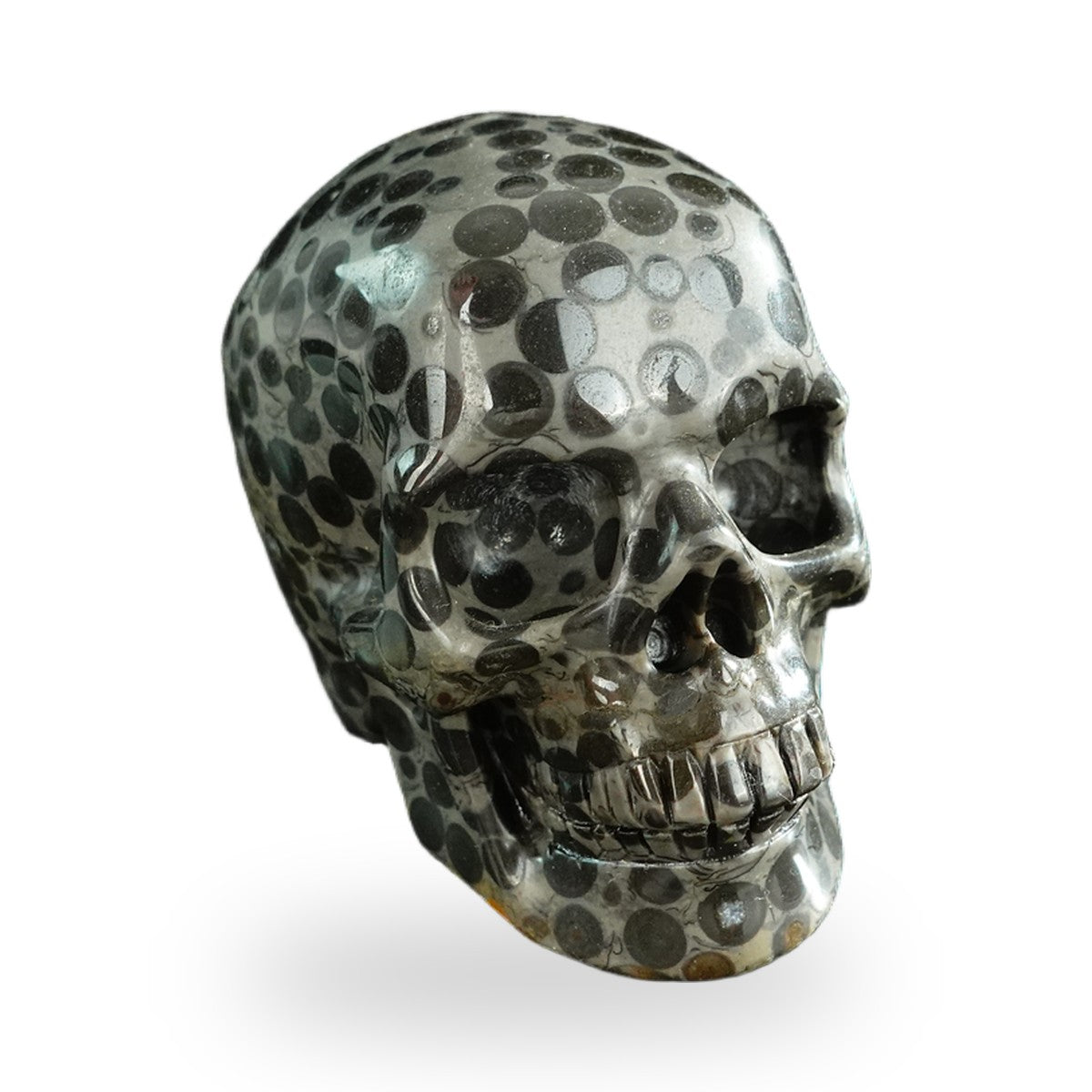 Black Leopard Skin Jasper crystal skull 3" SKH30BLS04 photo 3