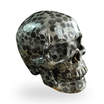 Black Leopard Skin Jasper crystal skull 3" SKH30BLS04 photo 4
