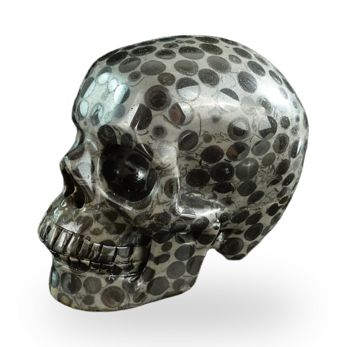 Black Leopard Skin Jasper crystal skull 3" SKH30BLS04 photo 7