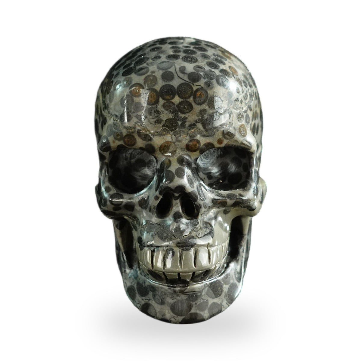 Black Leopard Skin Jasper crystal skull 3" SKH30BLS05 photo 1