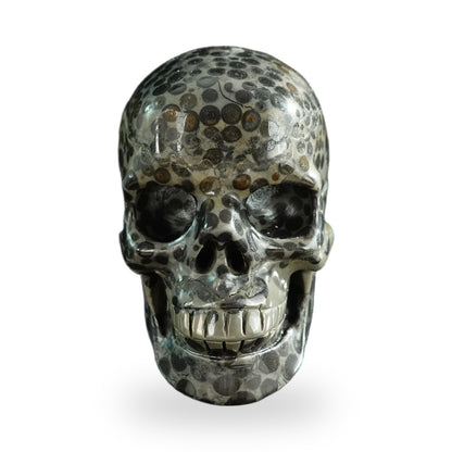 Black Leopard Skin Jasper crystal skull 3" SKH30BLS05 photo 1