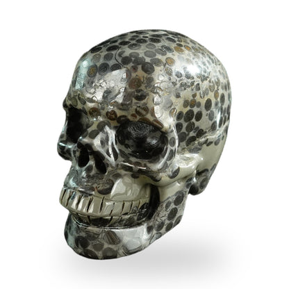 Black Leopard Skin Jasper crystal skull 3" SKH30BLS05 photo 2