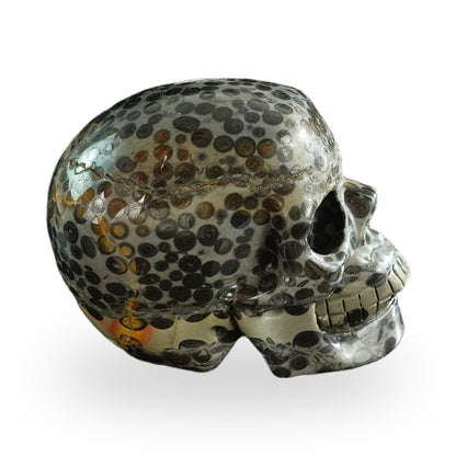 Black Leopard Skin Jasper crystal skull 3" SKH30BLS05 photo 5