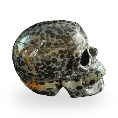 Black Leopard Skin Jasper crystal skull 3" SKH30BLS05 photo 6