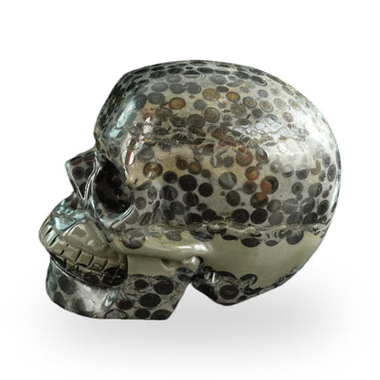 Black Leopard Skin Jasper crystal skull 3" SKH30BLS05 photo 7