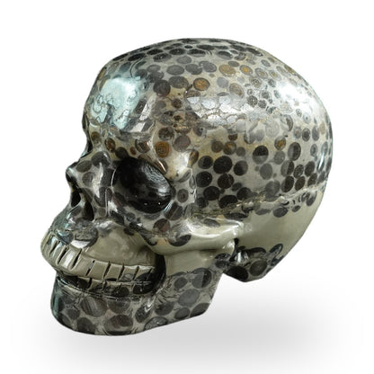 Black Leopard Skin Jasper crystal skull 3" SKH30BLS05 photo 8