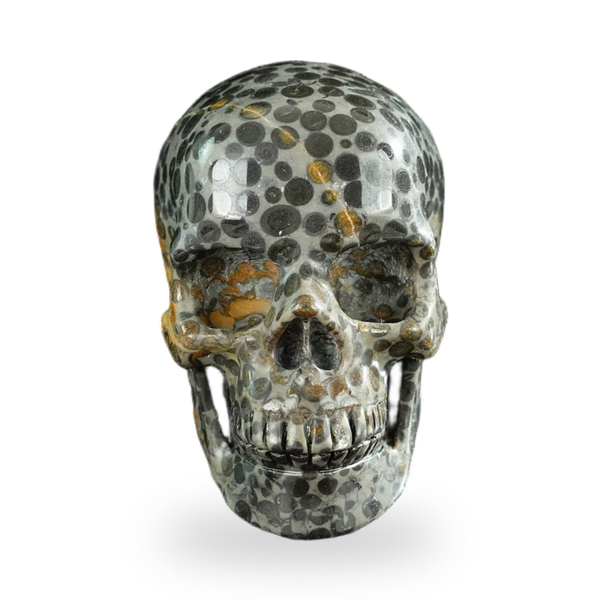 Black Leopard Skin Jasper crystal skull 3" SKH30BLS06 photo 1