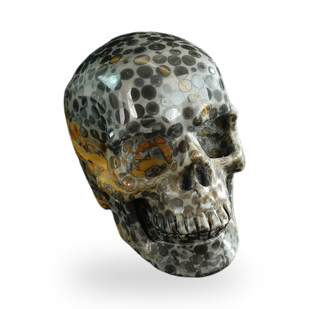 Black Leopard Skin Jasper crystal skull 3" SKH30BLS06 photo 2