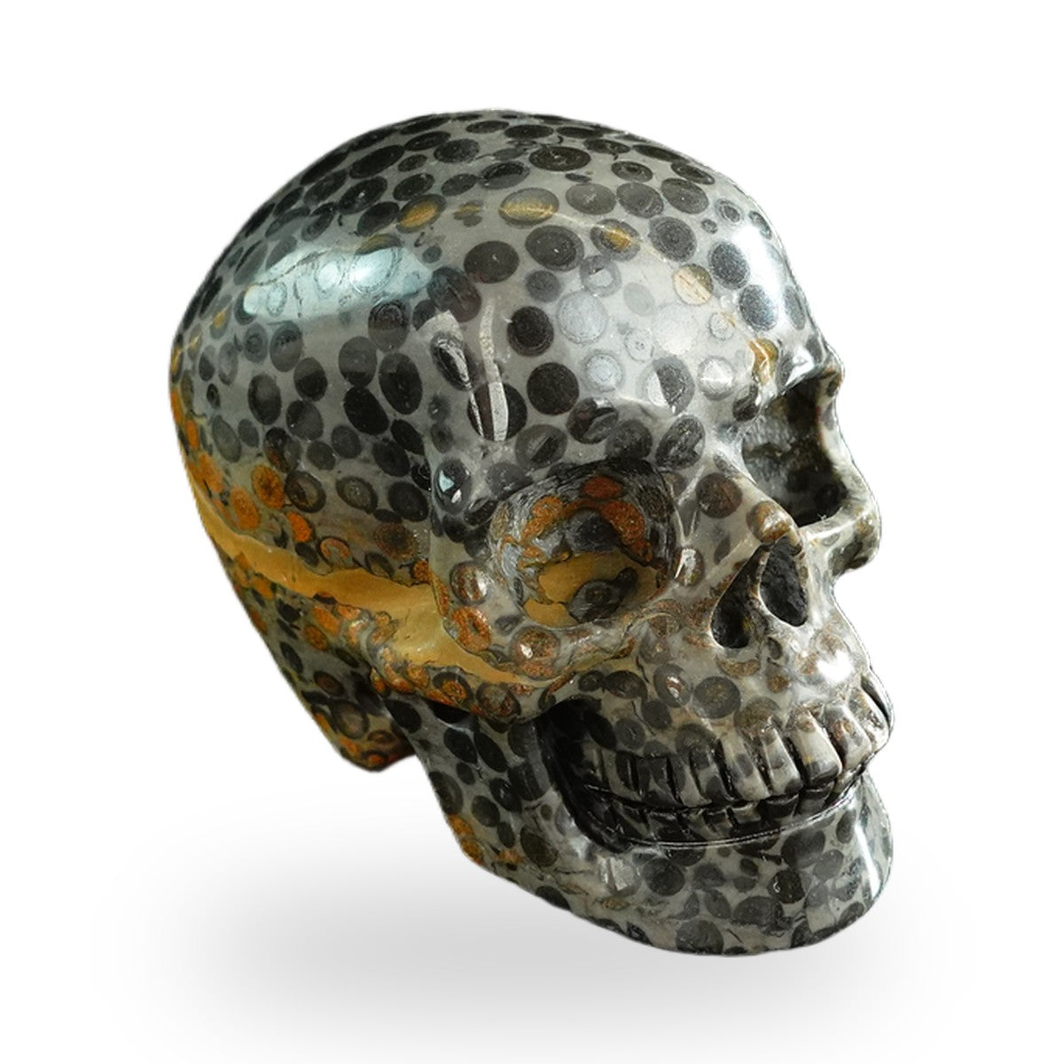 Black Leopard Skin Jasper crystal skull 3" SKH30BLS06 photo 3