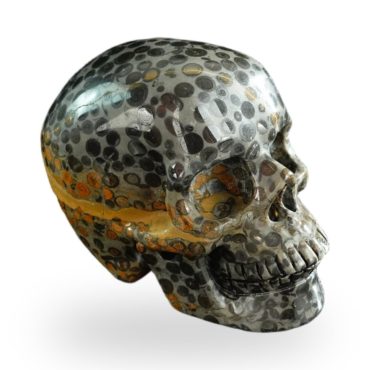 Black Leopard Skin Jasper crystal skull 3" SKH30BLS06 photo 4