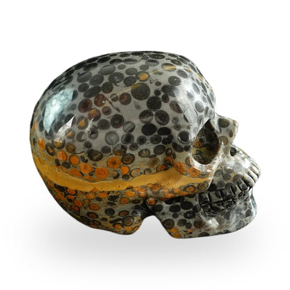 Black Leopard Skin Jasper crystal skull 3" SKH30BLS06 photo 5
