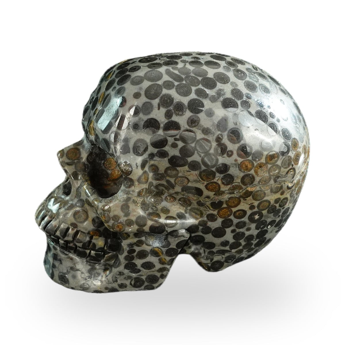 Why We Carve Skulls
