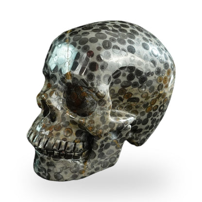 Black Leopard Skin Jasper crystal skull 3" SKH30BLS06 photo 7