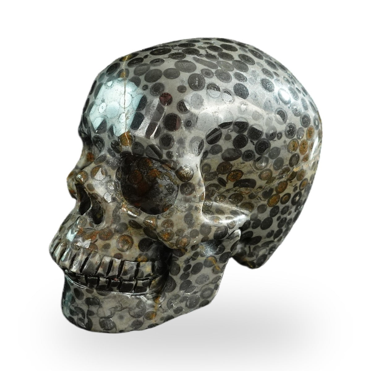 Black Leopard Skin Jasper crystal skull 3" SKH30BLS06 photo 7