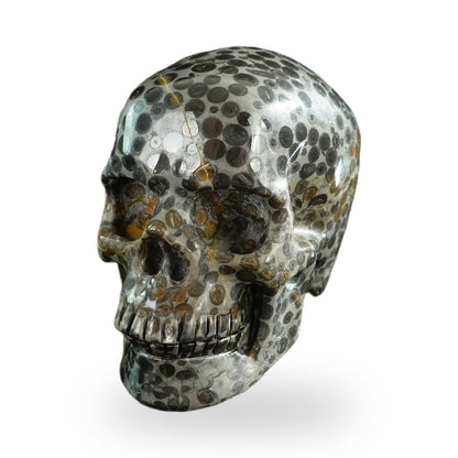 Black Leopard Skin Jasper crystal skull 3" SKH30BLS06 photo 8
