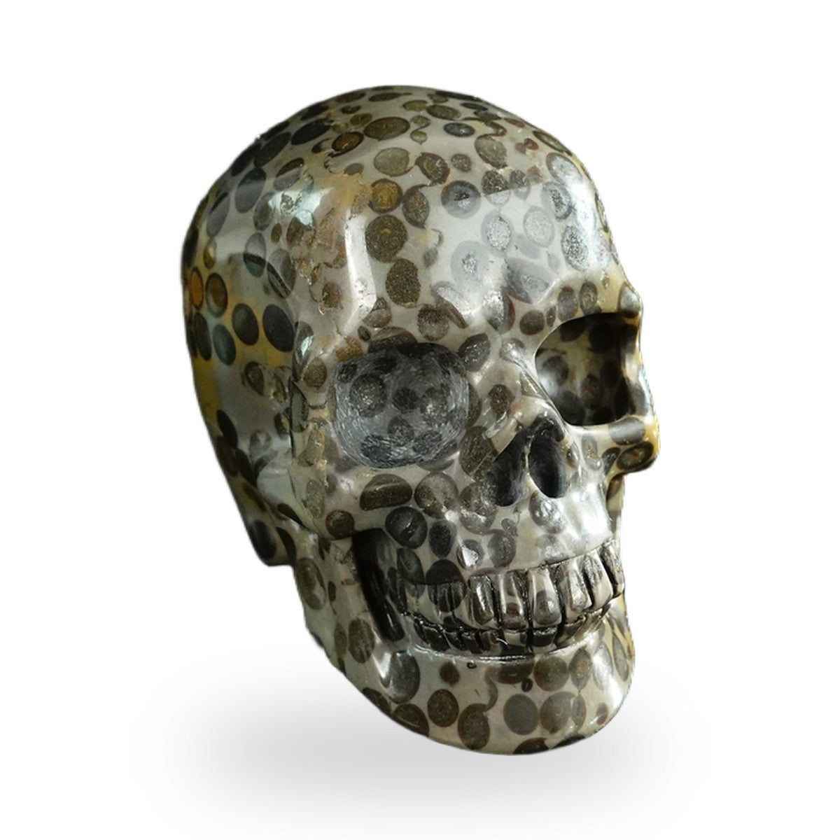 Black Leopard Skin Jasper crystal skull 3" SKH30BLS07 photo 2
