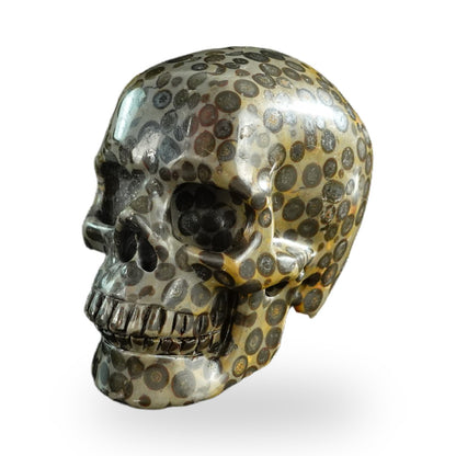 Black Leopard Skin Jasper crystal skull 3" SKH30BLS07 photo 8