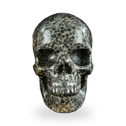 Black Leopard Skin Jasper crystal skull 4.5" SKH45LK01 hand carved gemstone