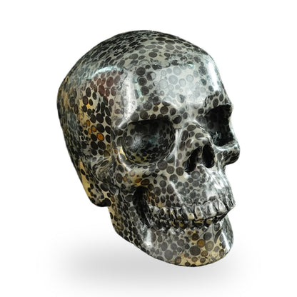 Black Leopard Skin Jasper crystal skull 4.5" SKH45LK01 view 2