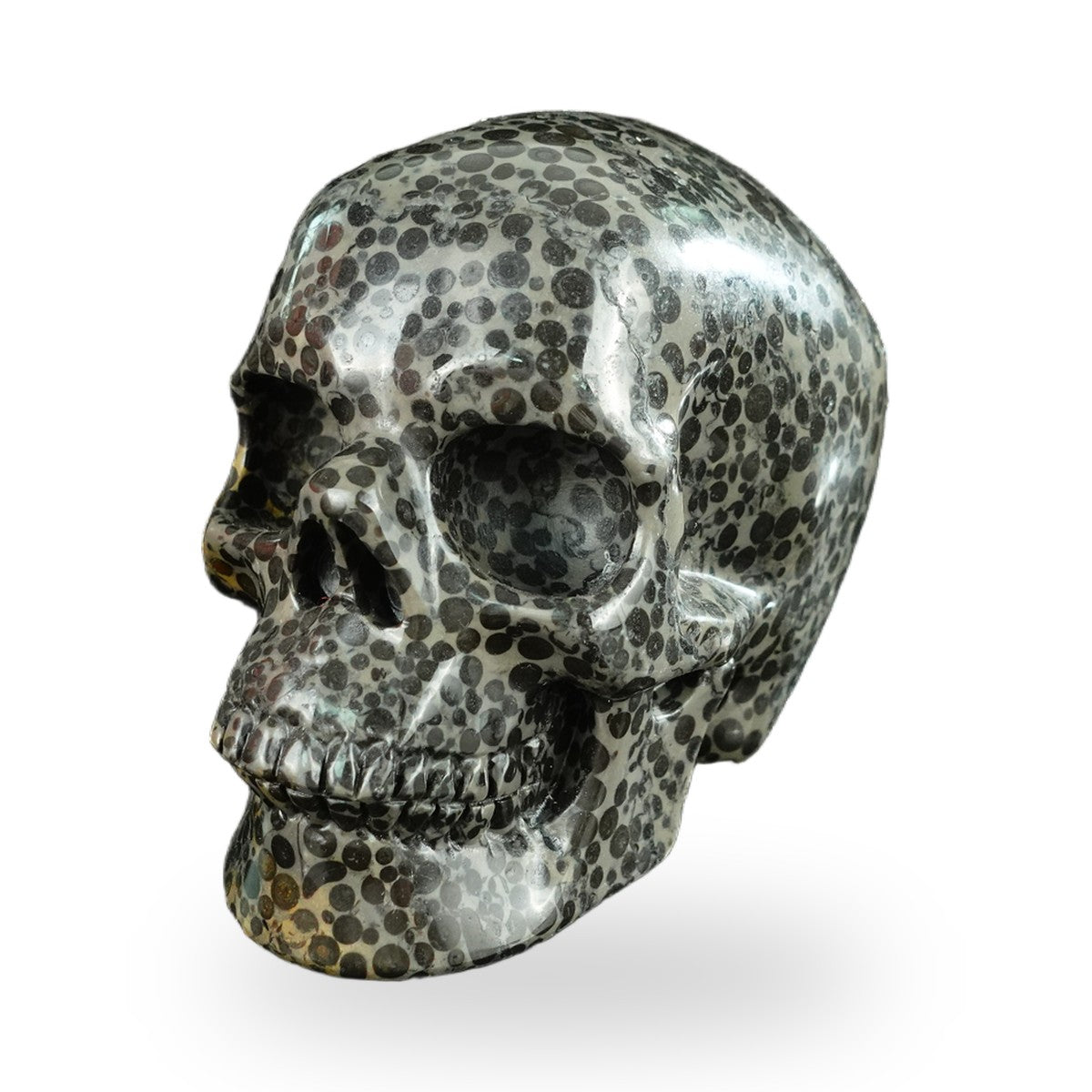 Black Leopard Skin Jasper crystal skull 4.5" SKH45LK01 view 6