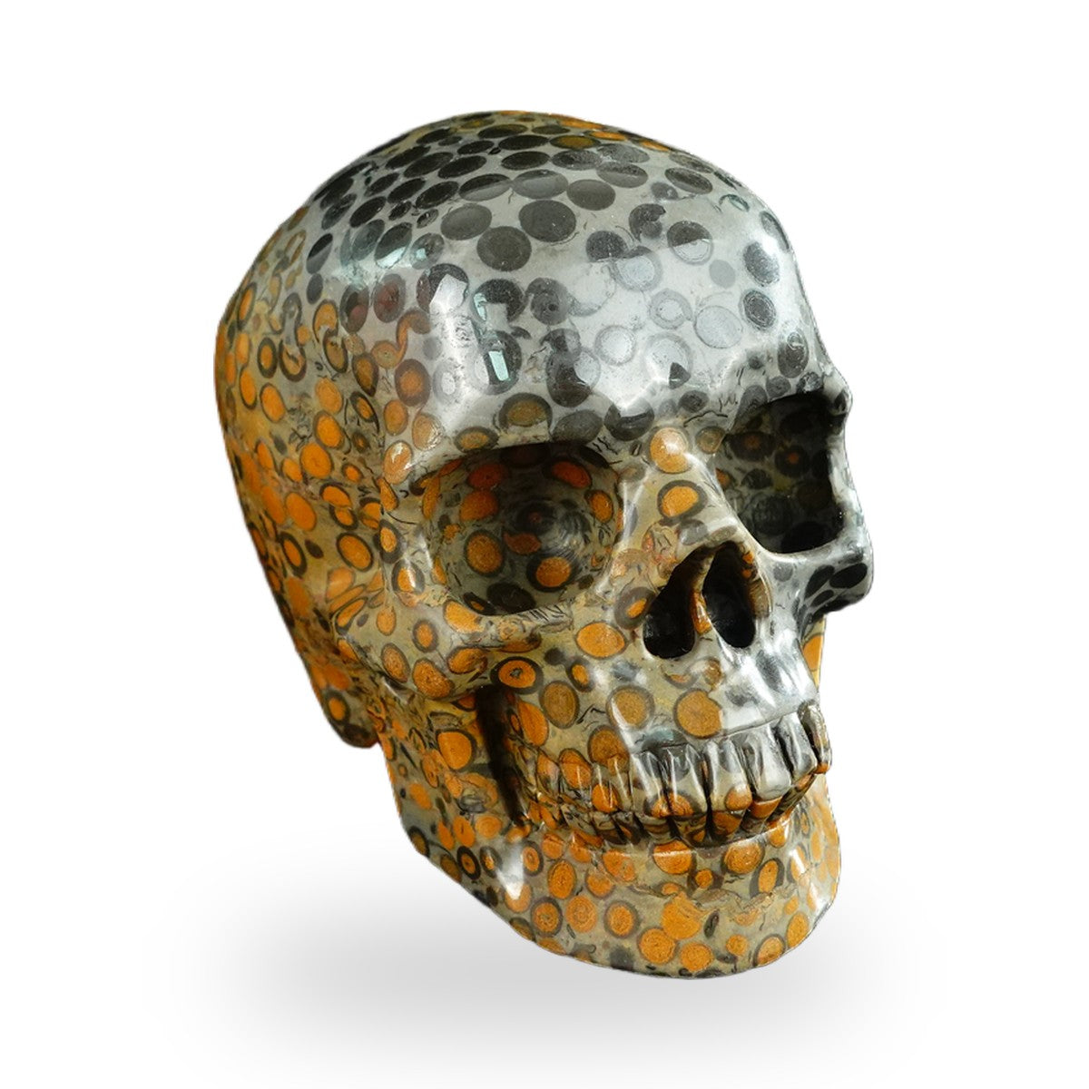 Black Leopard Skin Jasper crystal skull 4.5" SKH45LK02 photo 2