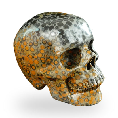 Black Leopard Skin Jasper crystal skull 4.5" SKH45LK02 photo 3