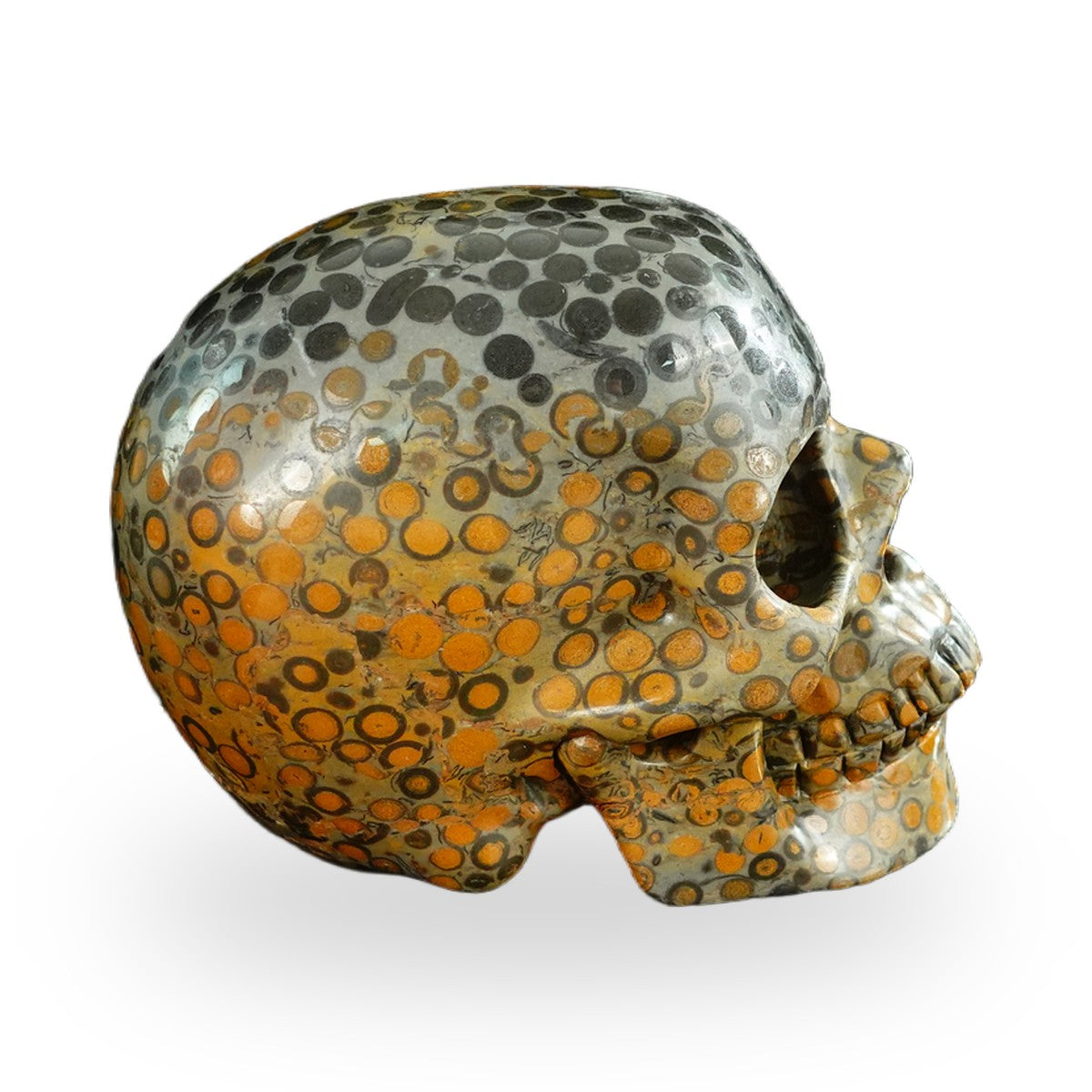 Black Leopard Skin Jasper crystal skull 4.5" SKH45LK02 photo 4