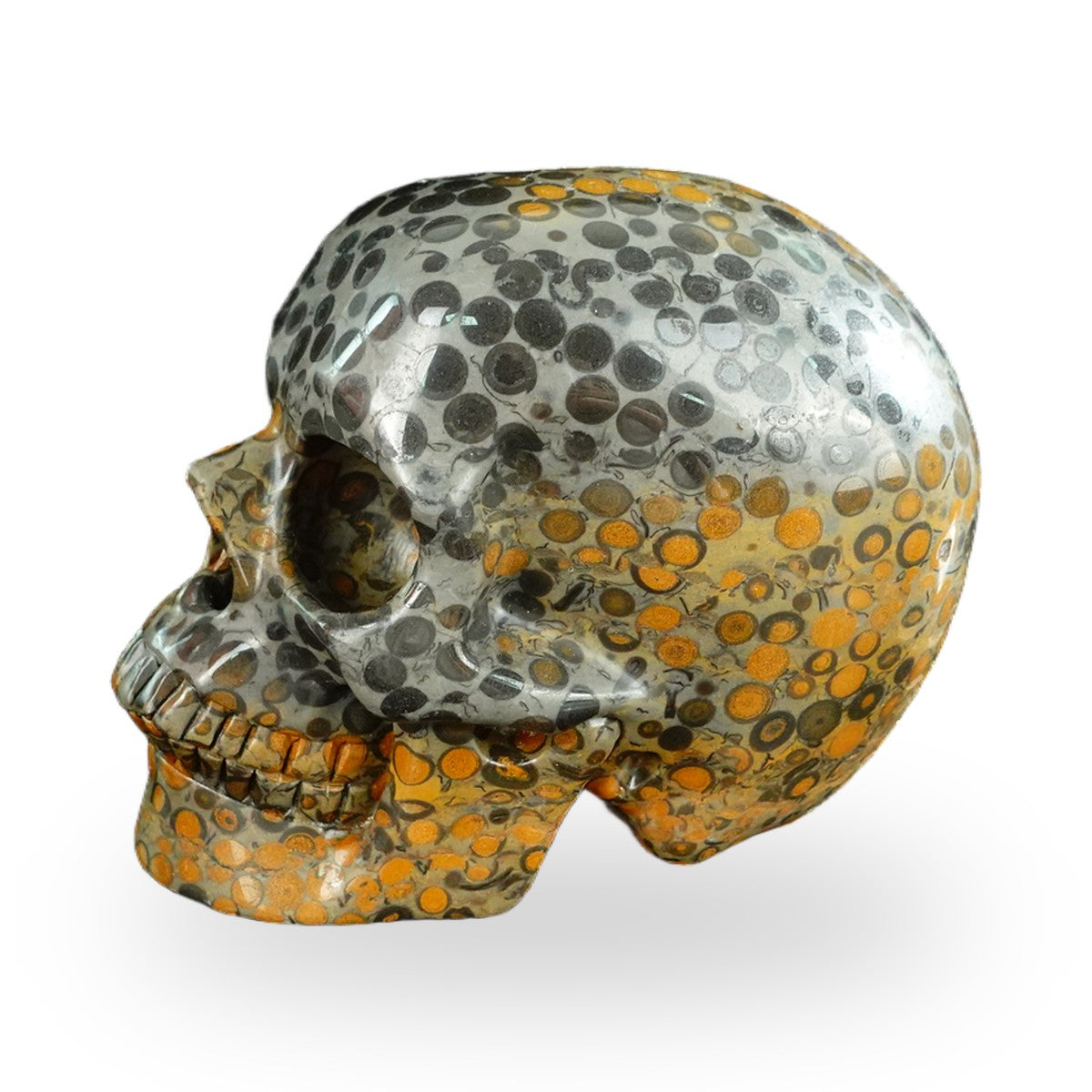 Black Leopard Skin Jasper crystal skull 4.5" SKH45LK02 photo 5