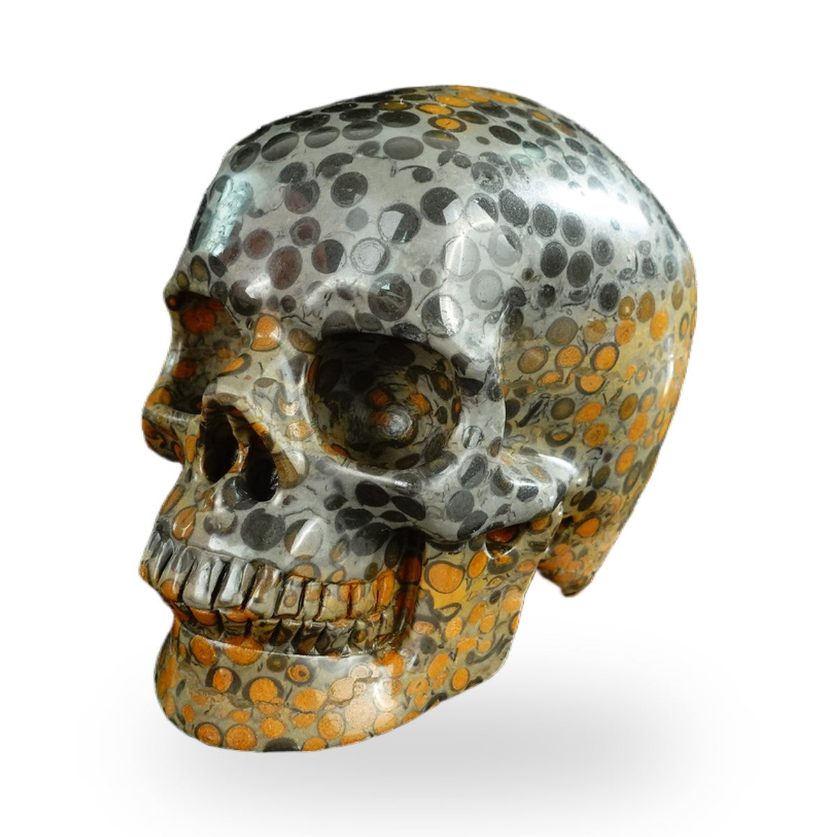 Black Leopard Skin Jasper crystal skull 4.5" SKH45LK02 photo 6