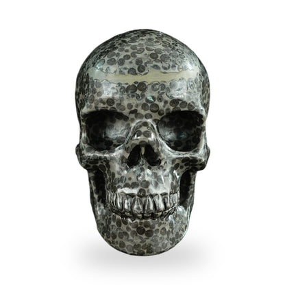 Black Leopard Skin Jasper crystal skull 4.5" SKH45LK03 photo 1