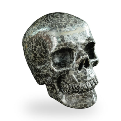 Black Leopard Skin Jasper crystal skull 4.5" SKH45LK03 photo 2