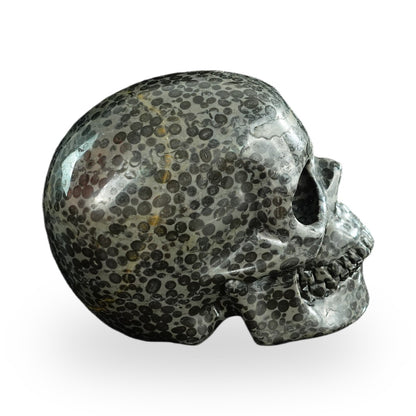Black Leopard Skin Jasper crystal skull 4.5" SKH45LK03 photo 4