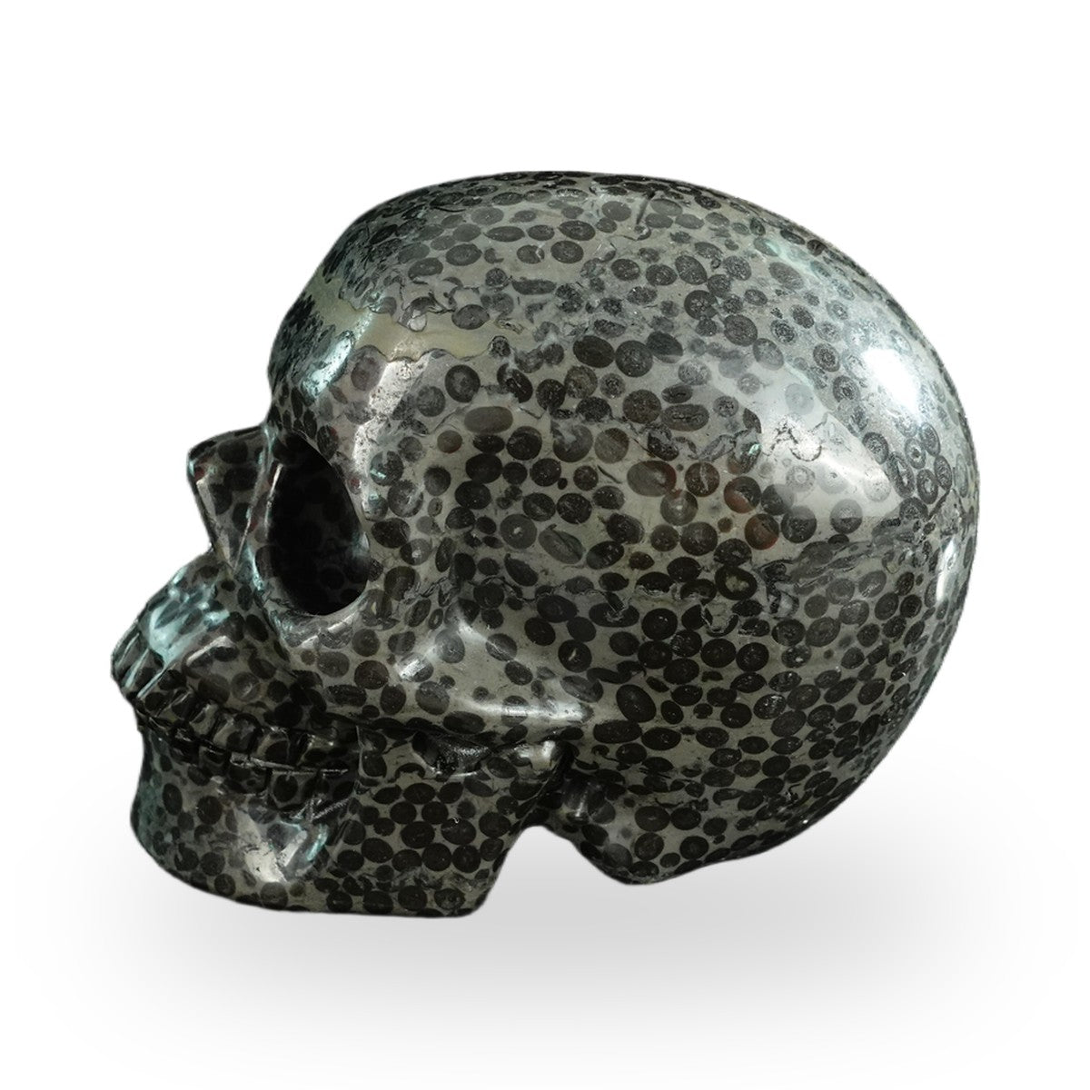 Black Leopard Skin Jasper crystal skull 4.5" SKH45LK03 photo 5