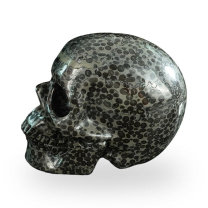 Black Leopard Skin Jasper crystal skull 4.5" SKH45LK03 photo 5
