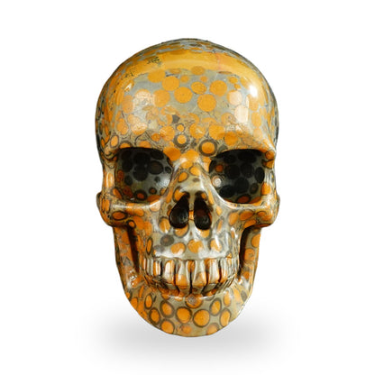 Black Leopard Skin Jasper crystal skull 4.5" SKH45LK04 photo 1