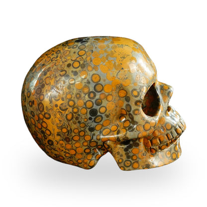 Black Leopard Skin Jasper crystal skull 4.5" SKH45LK04 photo 4