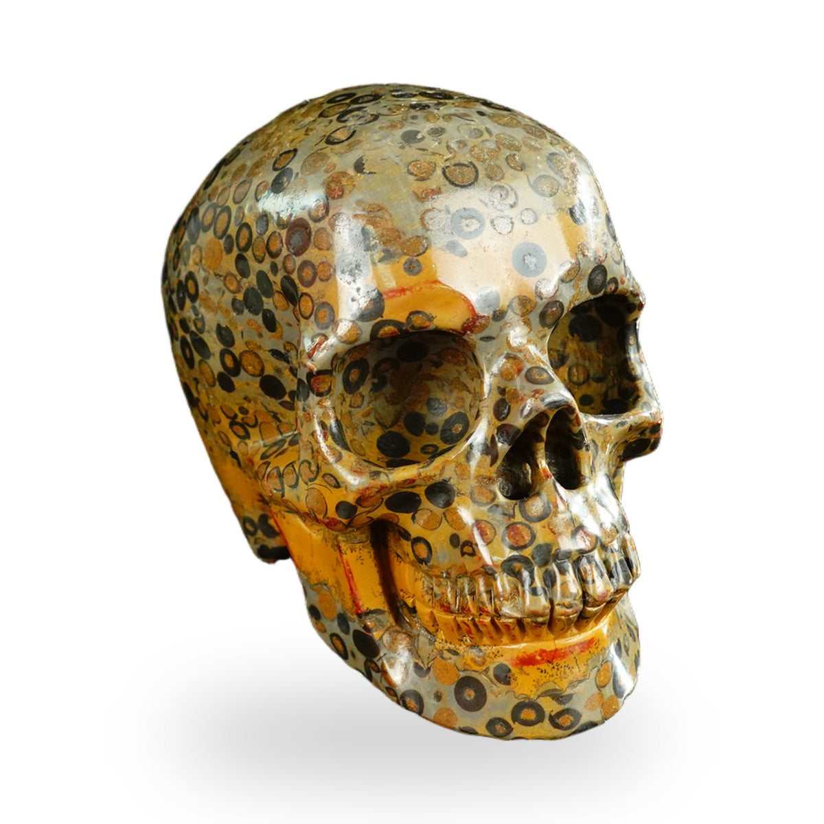Black Leopard Skin Jasper crystal skull 4.5" SKH45LK05 photo 2