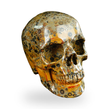 Black Leopard Skin Jasper crystal skull 4.5" SKH45LK05 photo 2