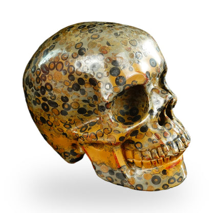 Black Leopard Skin Jasper crystal skull 4.5" SKH45LK05 photo 3