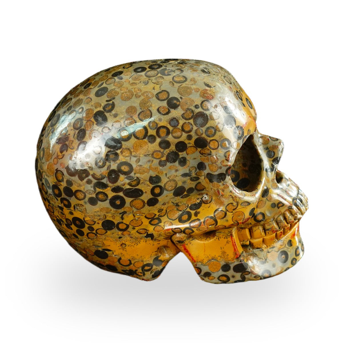 Black Leopard Skin Jasper crystal skull 4.5" SKH45LK05 photo 4